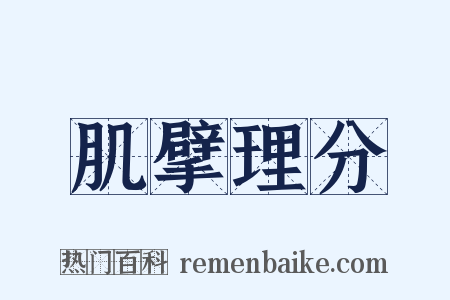 肌擘理分是什么意思的图片